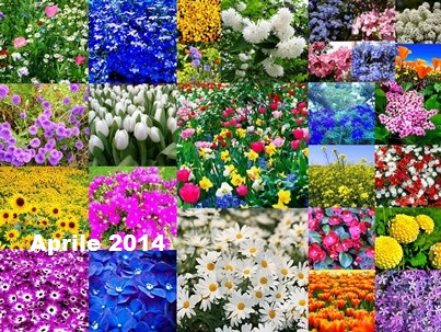 aprile2014.jpg aprile2014.jpg